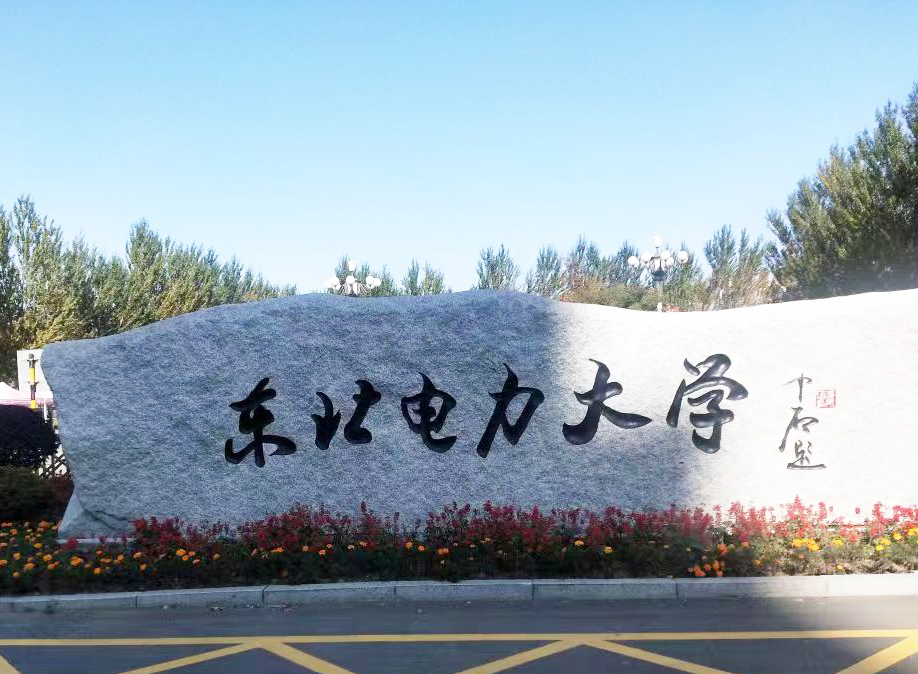东北电力大学采购南京TIKTOK色板免费的DZ-DSC300C成人TIKTOK下载